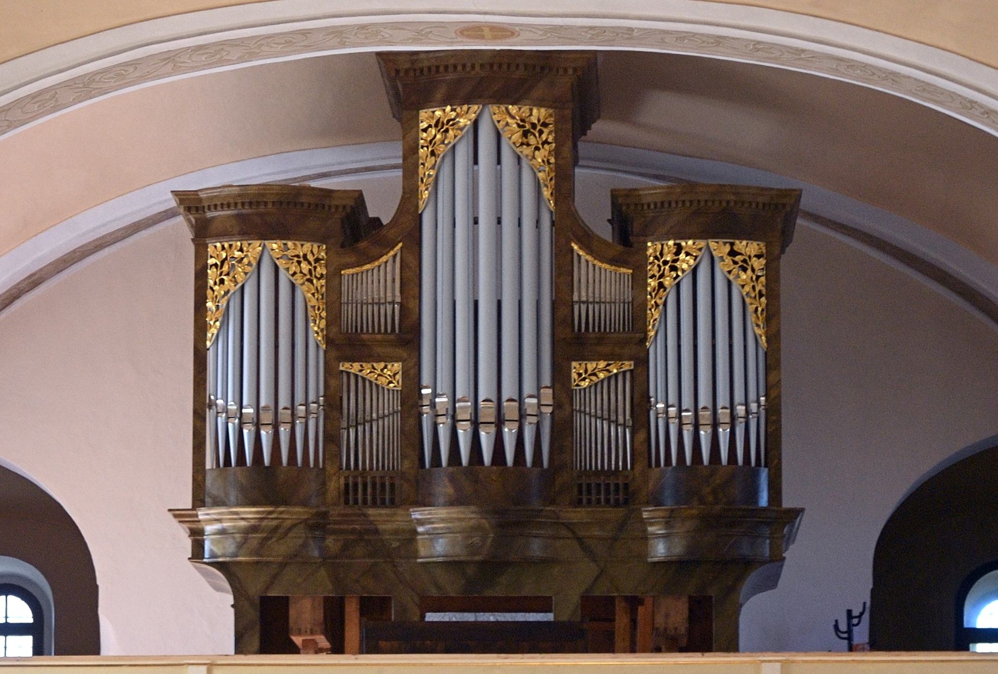 vajnorsky organ