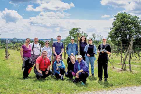 Novinky vinohradníckeho spolku Via Vitis