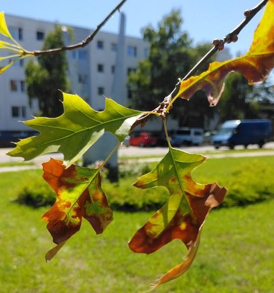 Klimatické zmeny - ako je to u nás?